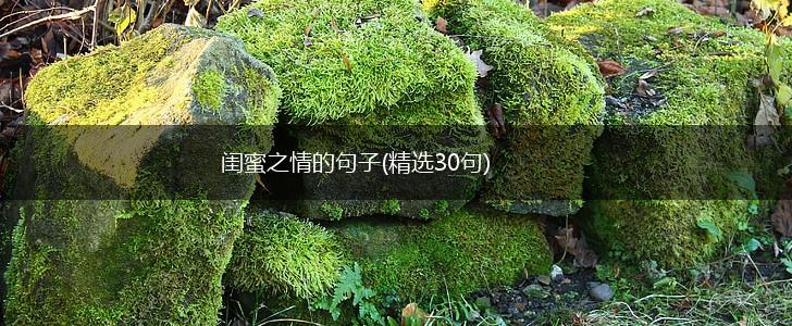 闺蜜之情的句子(精选30句),第1张