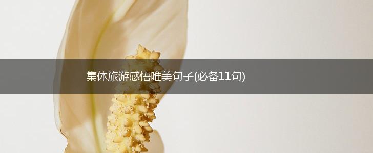 集体旅游感悟唯美句子(必备11句),第1张