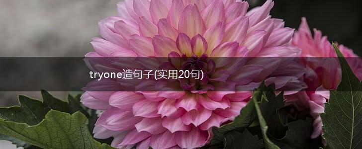 tryone造句子(实用20句),第1张