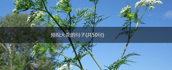 预祝大卖的句子(共50句),第1张