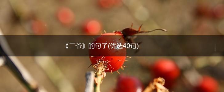 《二爷》的句子(优选40句),第1张