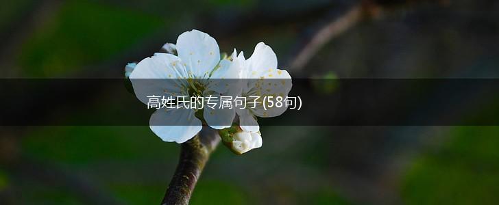高姓氏的专属句子(58句),第1张
