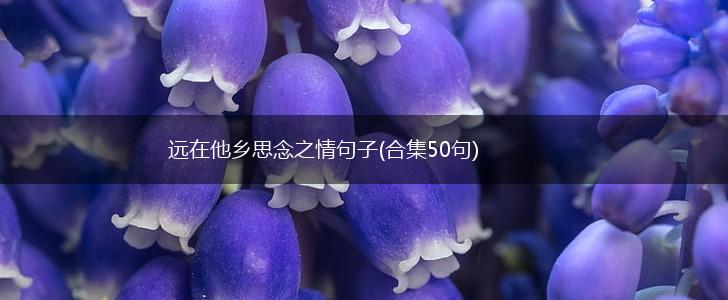 远在他乡思念之情句子(合集50句),第1张