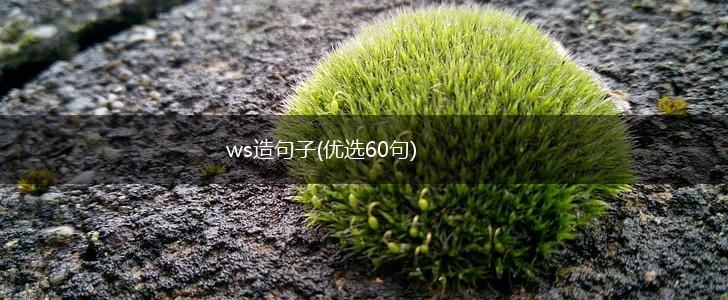 ws造句子(优选60句),第1张