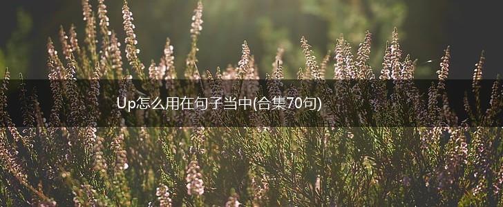 Up怎么用在句子当中(合集70句),第1张