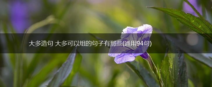 大多造句 大多可以组的句子有那些(通用94句),第1张
