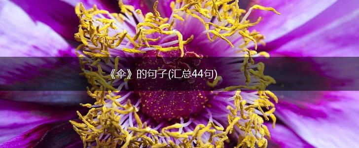 《伞》的句子(汇总44句),第1张