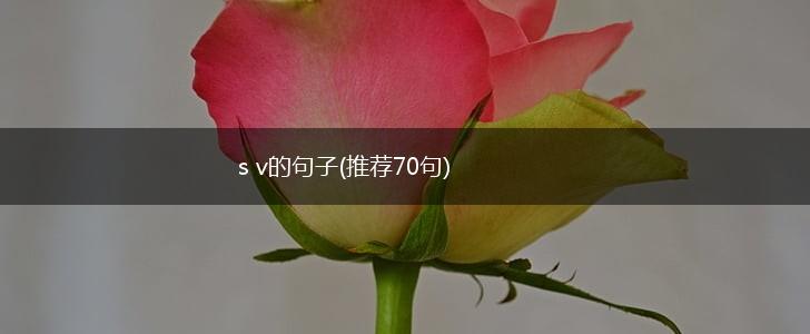 s v的句子(推荐70句),第1张