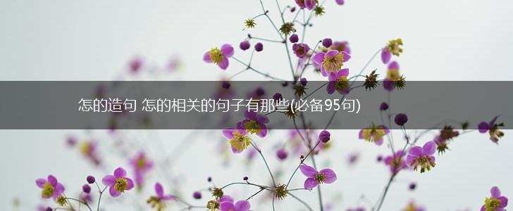 怎的造句 怎的相关的句子有那些(必备95句),第1张