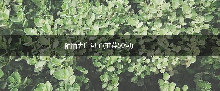陌陌表白句子(推荐50句),第1张