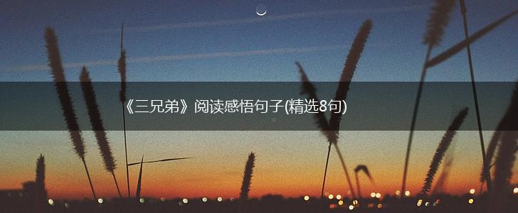 《三兄弟》阅读感悟句子(精选8句),第1张