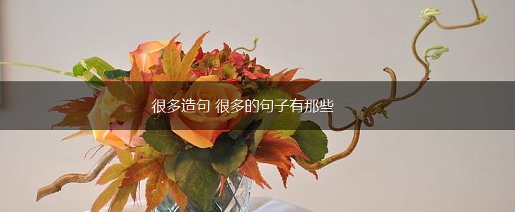很多造句 很多的句子有那些,第1张