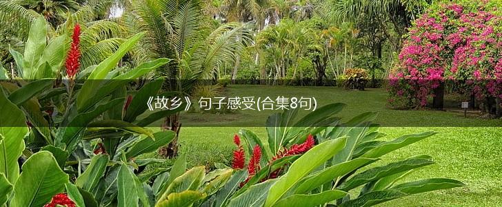 《故乡》句子感受(合集8句),第1张