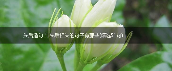 先后造句 与先后相关的句子有那些(精选51句),第1张