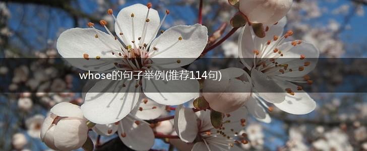 whose的句子举例(推荐114句),第1张