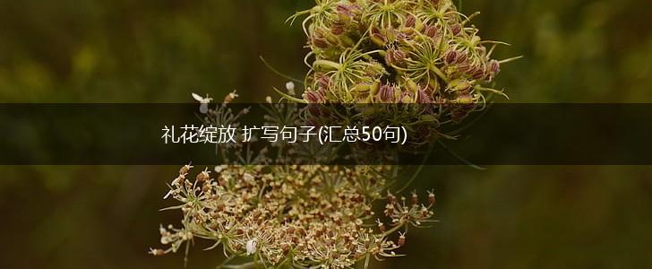 礼花绽放 扩写句子(汇总50句),第1张