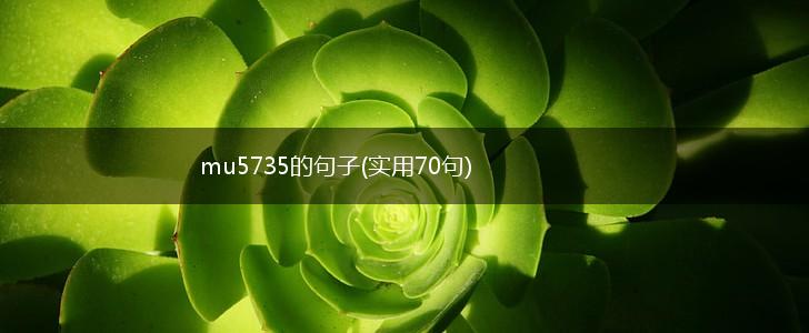 mu5735的句子(实用70句),第1张