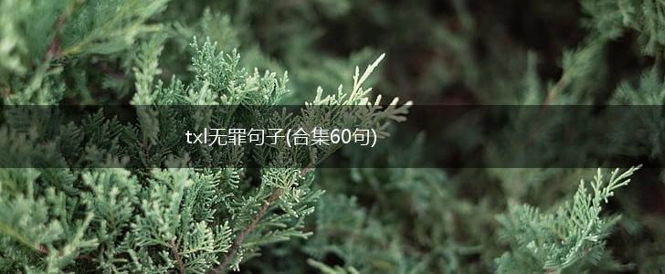 txl无罪句子(合集60句),第1张