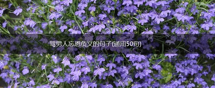 骂男人忘恩负义的句子(通用50句),第1张