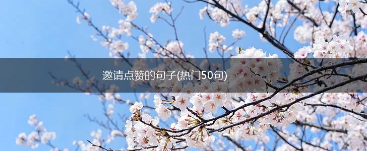 邀请点赞的句子(热门50句),第1张