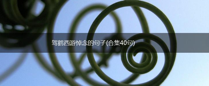 驾鹤西游悼念的句子(合集40句),第1张