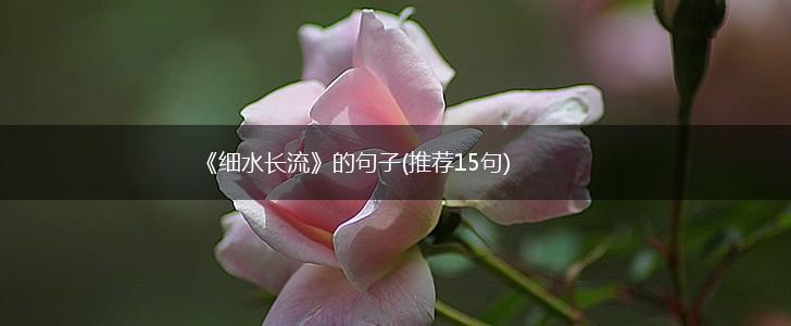 《细水长流》的句子(推荐15句),第1张
