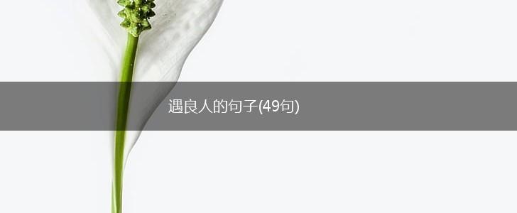 遇良人的句子(49句),第1张