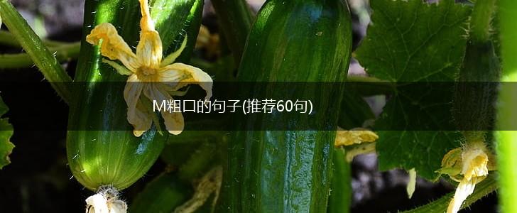 M粗口的句子(推荐60句),第1张