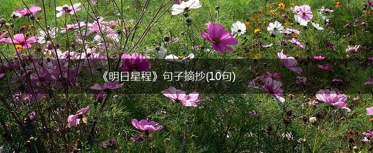 《明日星程》句子摘抄(10句),第1张