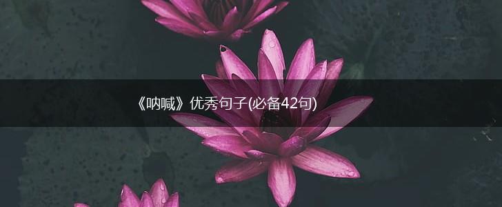 《呐喊》优秀句子(必备42句),第1张