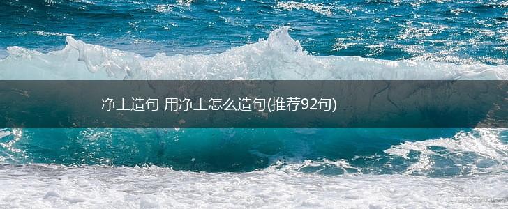 净土造句 用净土怎么造句(推荐92句),第1张