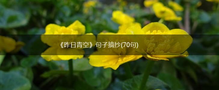 《昨日青空》句子摘抄(70句),第1张