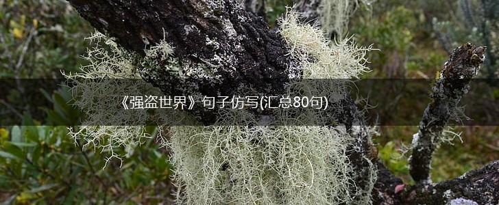《强盗世界》句子仿写(汇总80句),第1张