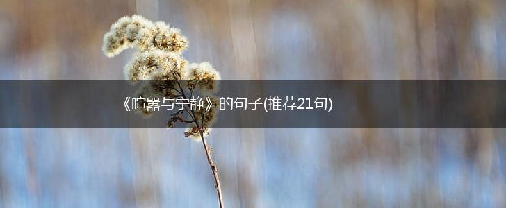 《喧嚣与宁静》的句子(推荐21句),第1张