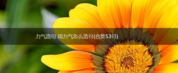 力气造句 用力气怎么造句(合集53句),第1张