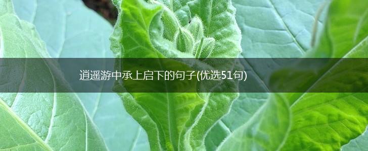 逍遥游中承上启下的句子(优选51句),第1张