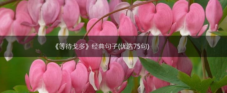 《等待戈多》经典句子(优选75句),第1张
