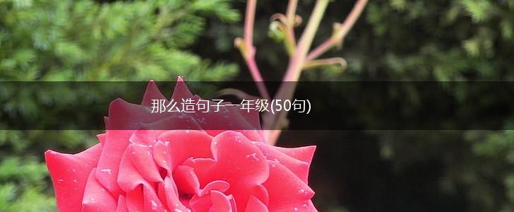 那么造句子一年级(50句),第1张