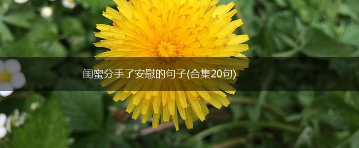 闺蜜分手了安慰的句子(合集20句),第1张