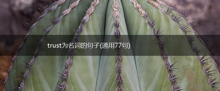 trust为名词的句子(通用77句),第1张