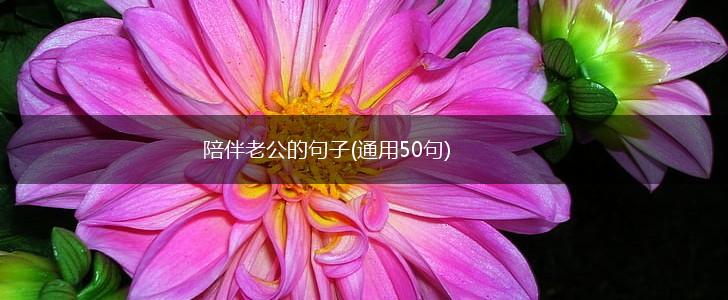 陪伴老公的句子(通用50句),第1张