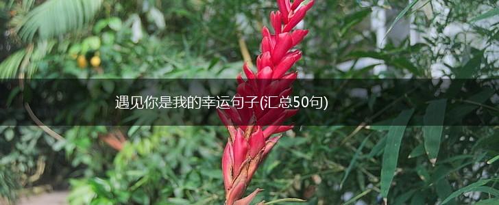 遇见你是我的幸运句子(汇总50句),第1张