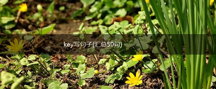 key写句子(汇总50句),第1张