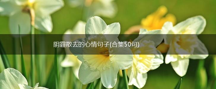 阴霾散去的心情句子(合集50句),第1张