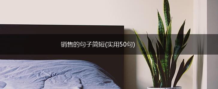 销售的句子简短(实用50句),第1张