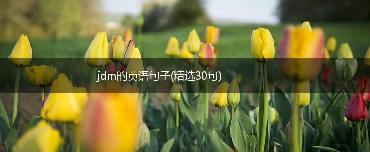 jdm的英语句子(精选30句),第1张