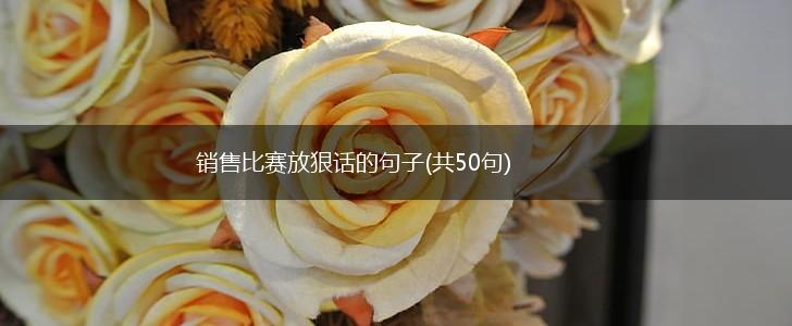 销售比赛放狠话的句子(共50句),第1张