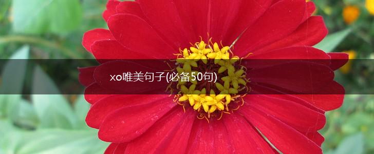 xo唯美句子(必备50句),第1张