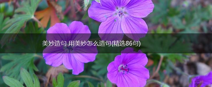 美妙造句 用美妙怎么造句(精选86句),第1张