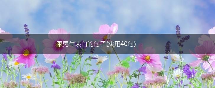 跟男生表白的句子(实用40句),第1张